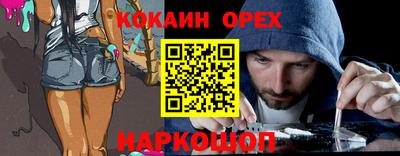 МДПВ Кингисепп
