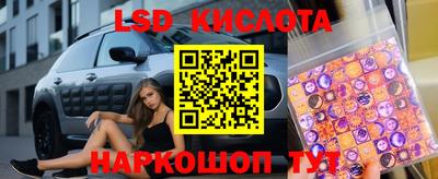 МДПВ Кингисепп