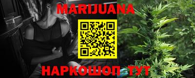 МДПВ Кингисепп