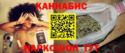 МДПВ Кингисепп