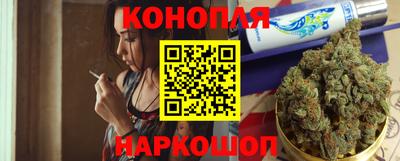 МДПВ Кингисепп