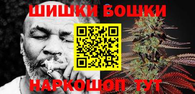 МДПВ Кингисепп